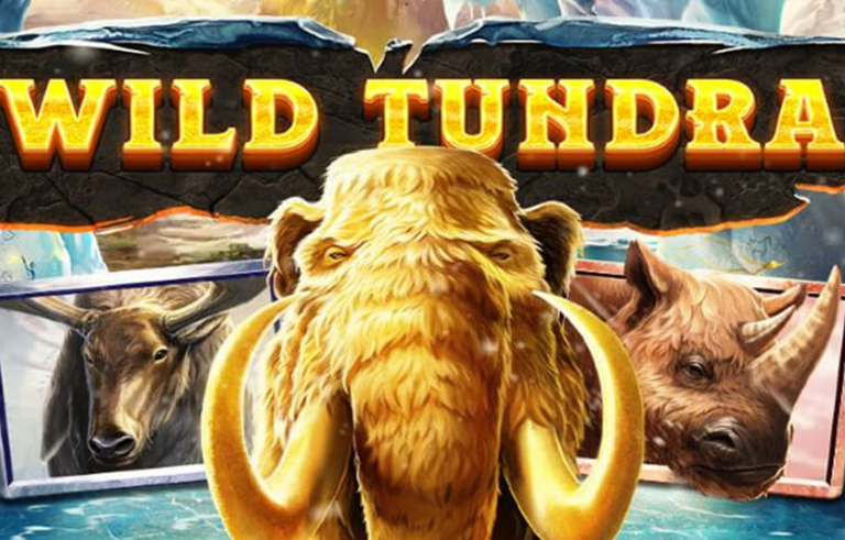 Обзор онлайн-слота Wild Tundra
